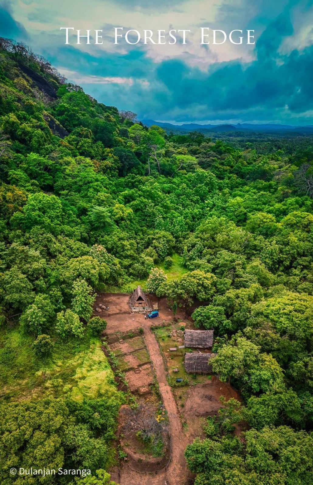 The Forest Edge Resort Dambulla Extérieur photo