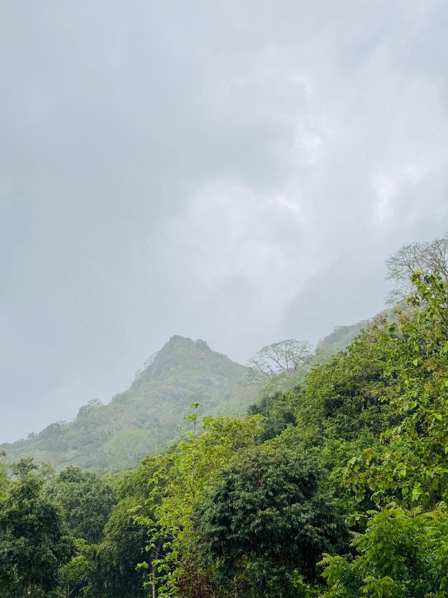 The Forest Edge Resort Dambulla Extérieur photo